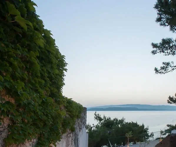 Angeliki * Λάσση