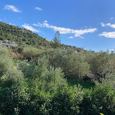 Angeliki Lassi (Kefalonia)